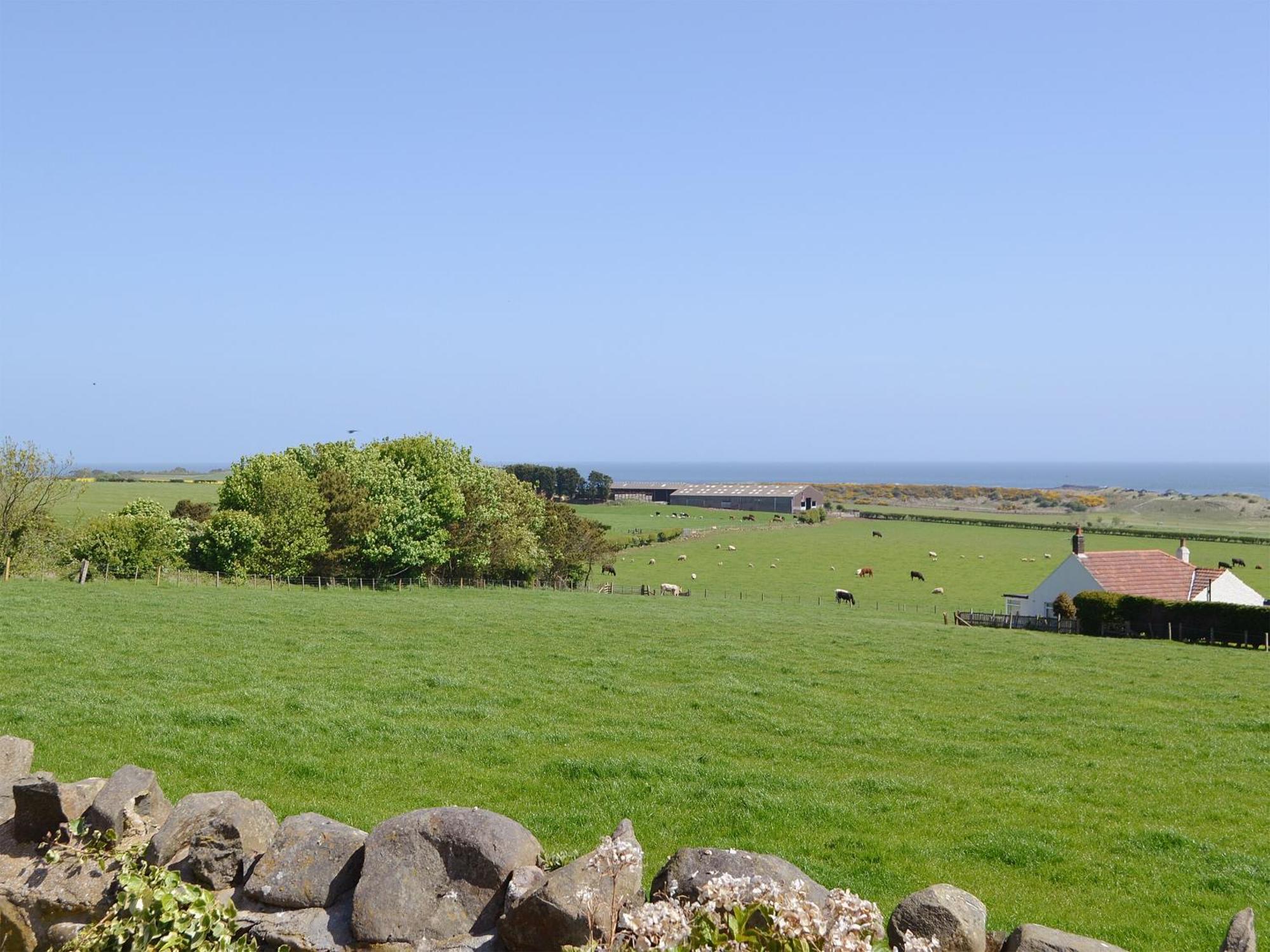 Eider Cottage Embleton  Extérieur photo
